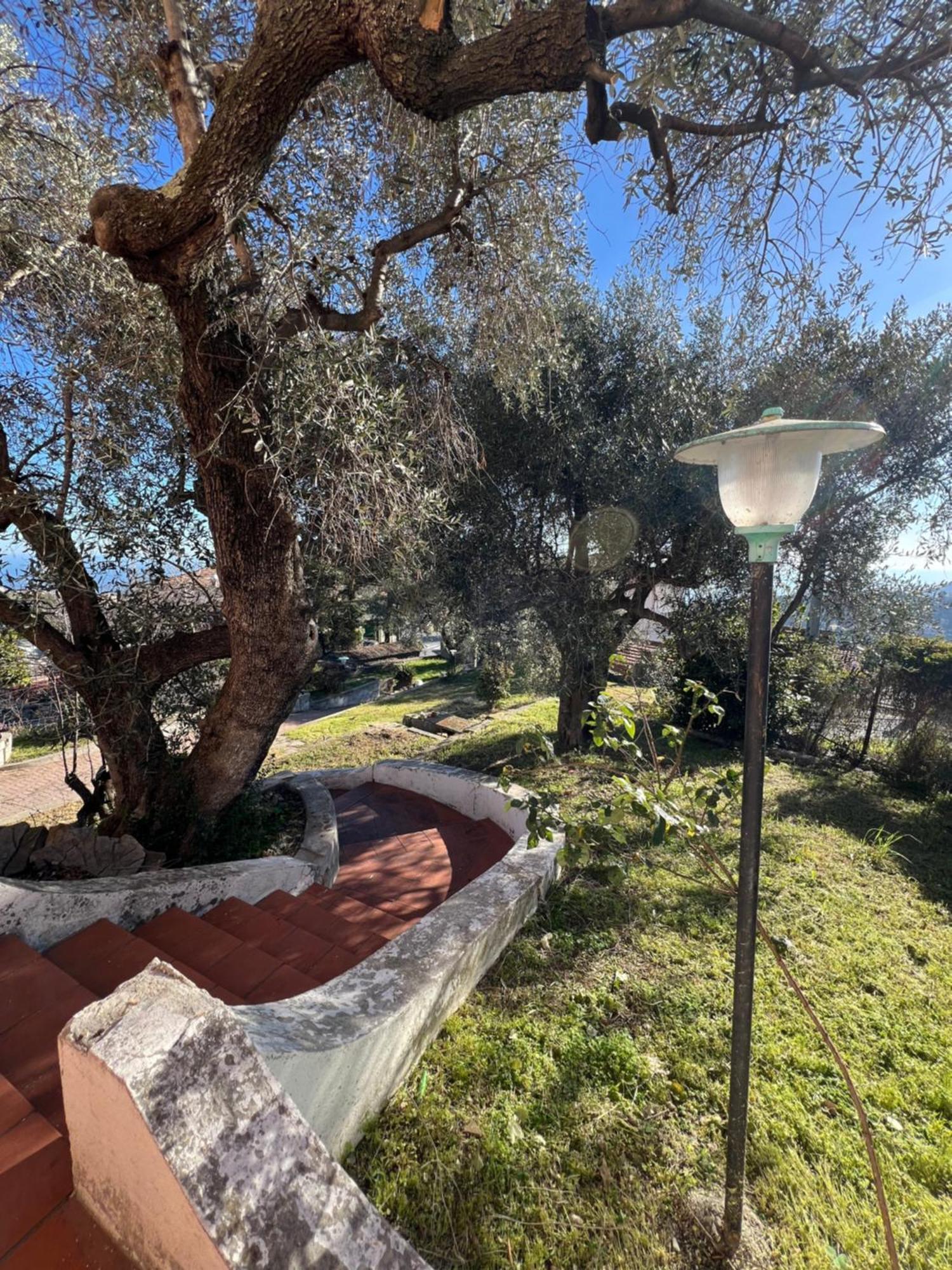Villa In Collina Vista Mare Sanremo Exterior photo